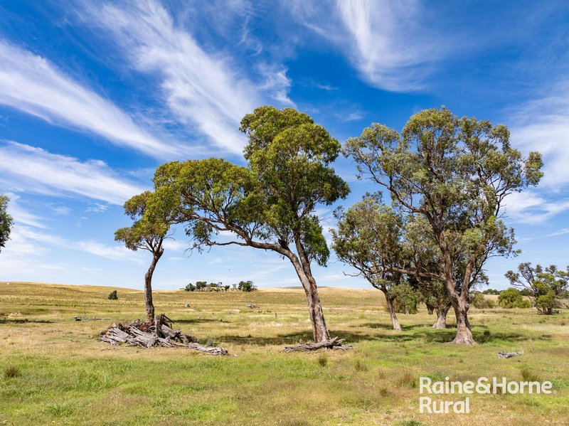 Photo - 714 Murringo Road, Boorowa NSW 2586 - Image 9