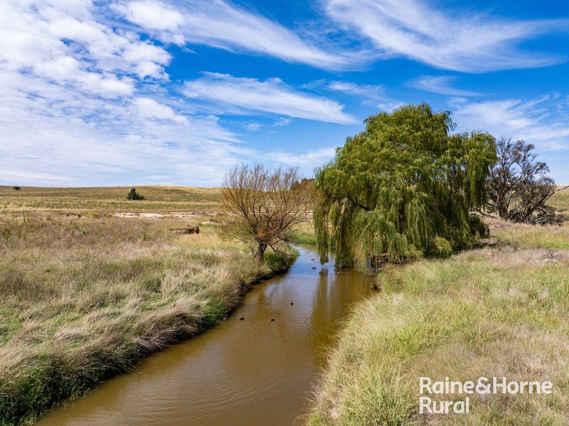 Photo - 714 Murringo Road, Boorowa NSW 2586 - Image 10