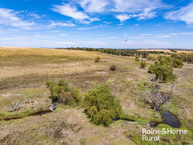 Photo - 714 Murringo Road, Boorowa NSW 2586 - Image 11