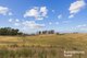 Photo - 714 Murringo Road, Boorowa NSW 2586 - Image 14