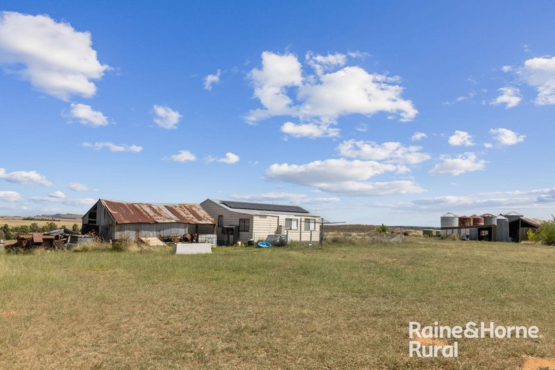 Photo - 714 Murringo Road, Boorowa NSW 2586 - Image 15