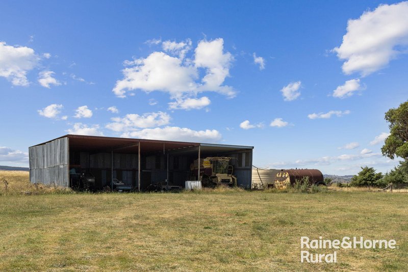 Photo - 714 Murringo Road, Boorowa NSW 2586 - Image 16