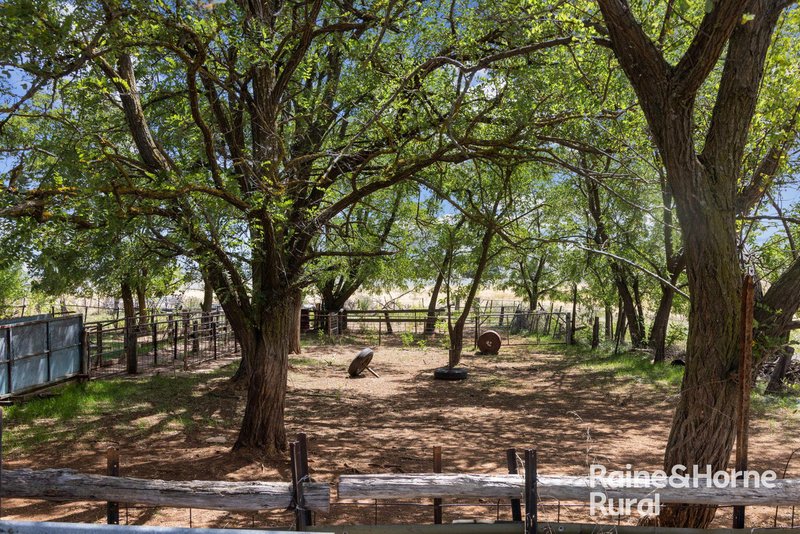 Photo - 714 Murringo Road, Boorowa NSW 2586 - Image 20