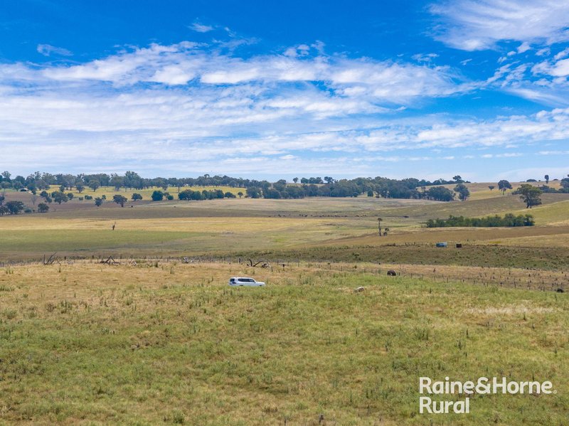 Photo - 714 Murringo Road, Boorowa NSW 2586 - Image 29