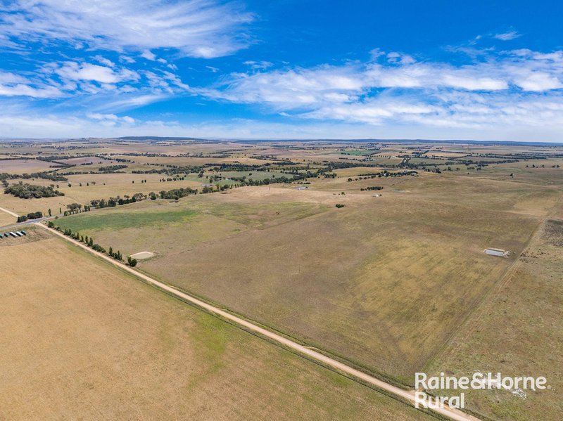 Photo - 714 Murringo Road, Boorowa NSW 2586 - Image 31