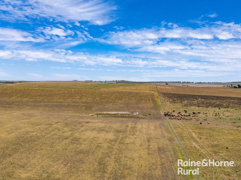 Photo - 714 Murringo Road, Boorowa NSW 2586 - Image 32