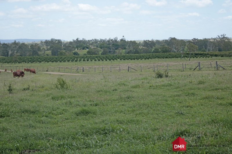 Photo - 715 Bon Accord Wetheron Road, Gayndah QLD 4625 - Image 11