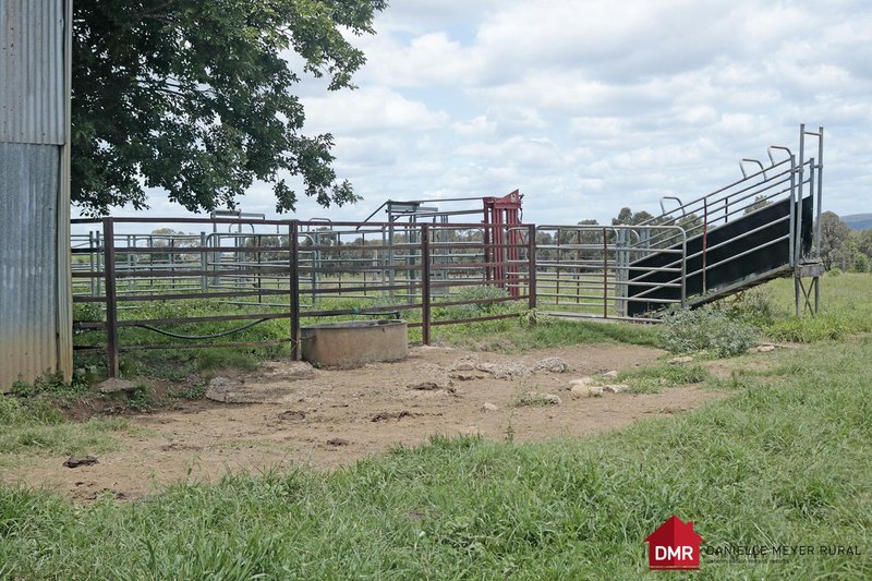 Photo - 715 Bon Accord Wetheron Road, Gayndah QLD 4625 - Image 14