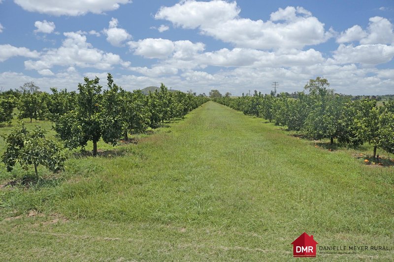 Photo - 715 Bon Accord Wetheron Road, Gayndah QLD 4625 - Image 21