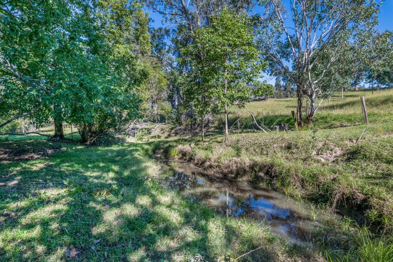 Photo - 717 Allyn River Road, Gresford NSW 2311 - Image 4