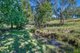 Photo - 717 Allyn River Road, Gresford NSW 2311 - Image 4