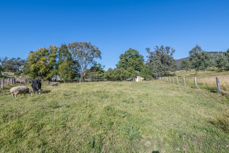 Photo - 717 Allyn River Road, Gresford NSW 2311 - Image 12