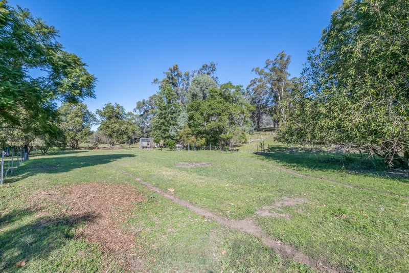 Photo - 717 Allyn River Road, Gresford NSW 2311 - Image 13