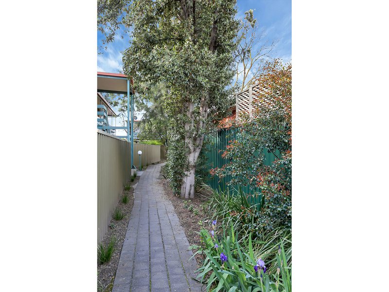 Photo - 7/17 Rosella Street, Payneham SA 5070 - Image 3