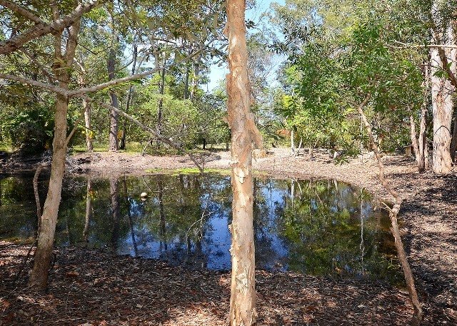 Photo - 717 Toogoom Road, Toogoom QLD 4655 - Image 10