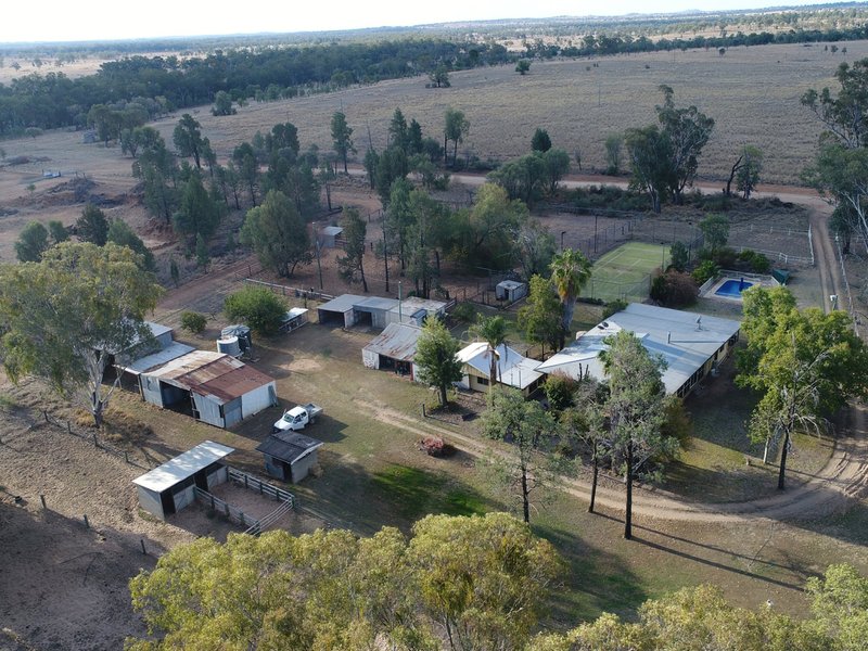 719 Bungeworgorai Lane, Roma QLD 4455