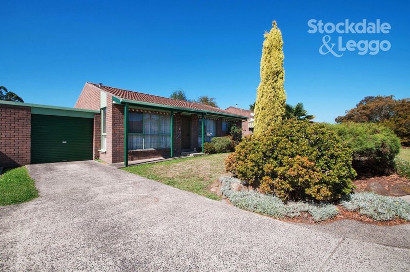 Photo - 7/19 Glen Park Road, Bayswater North VIC 3153 - Image 10