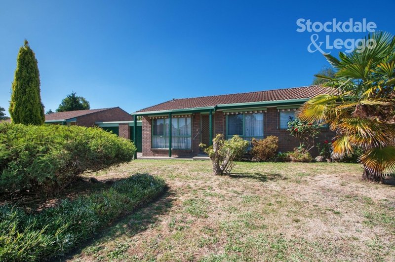 Photo - 7/19 Glen Park Road, Bayswater North VIC 3153 - Image 11