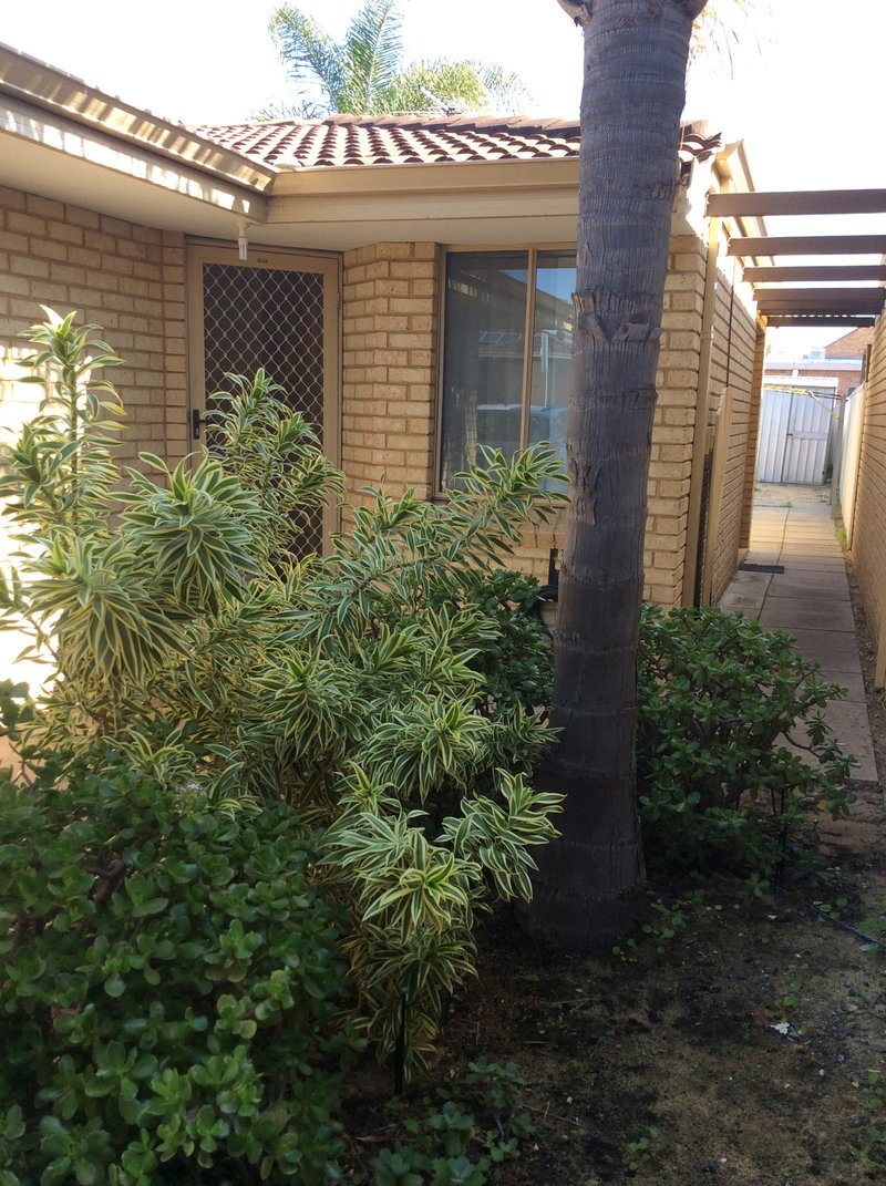Photo - 71C Gilbertson Road, Kardinya WA 6163 - Image 2