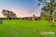 Photo - 72-96 Tamborine Street, Jimboomba QLD 4280 - Image 5