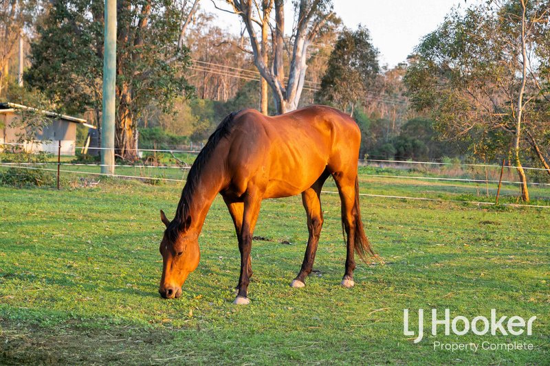 Photo - 72-96 Tamborine Street, Jimboomba QLD 4280 - Image 8