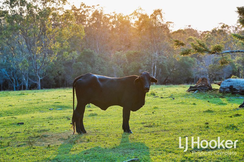 Photo - 72-96 Tamborine Street, Jimboomba QLD 4280 - Image 16