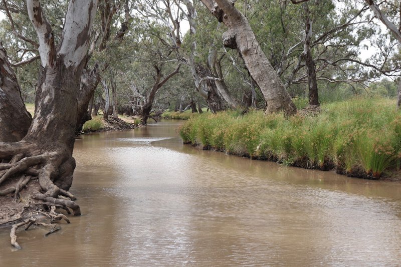 Photo - 72 Boorr Hill Road, Parkes NSW 2870 - Image 3