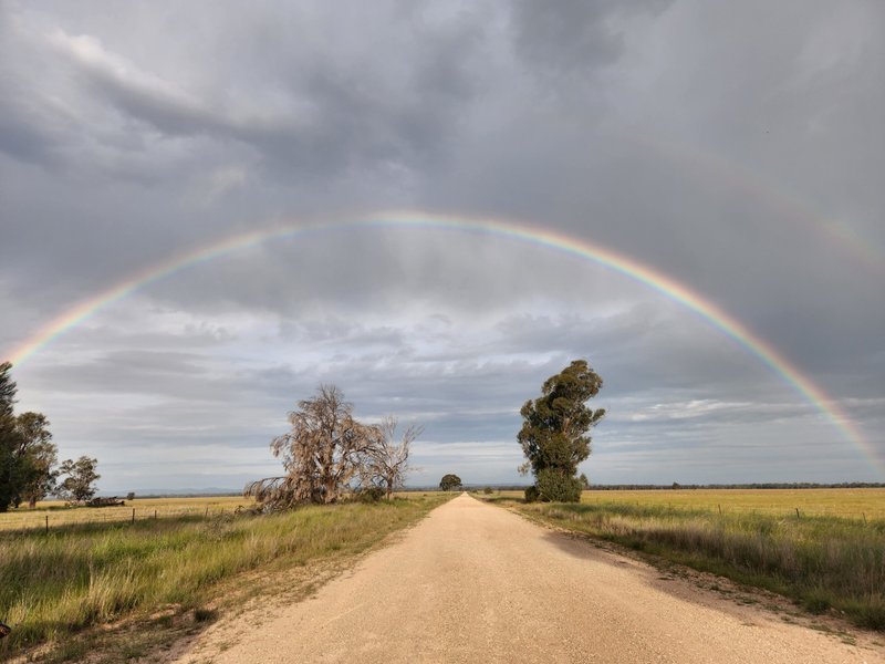 Photo - 72 Boorr Hill Road, Parkes NSW 2870 - Image 32