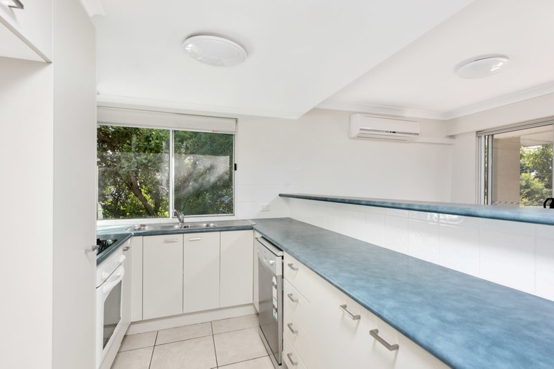 Photo - 7/2 Box Street, Buderim QLD 4556 - Image 3