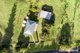 Photo - 72 Cawongla Road, Rock Valley NSW 2480 - Image 34