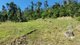 Photo - 72 Eshelby Drive, Cannonvale QLD 4802 - Image 9