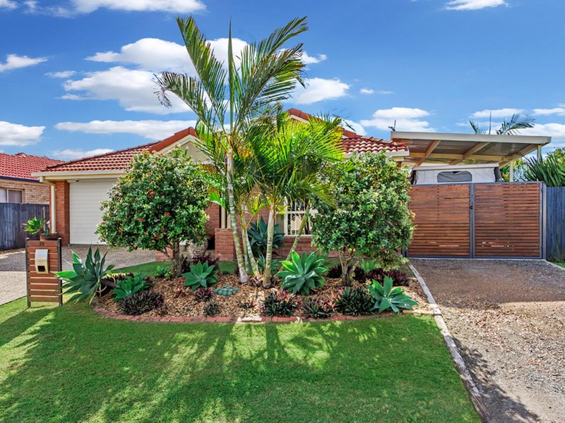 72 Glentree Avenue, Upper Coomera QLD 4209