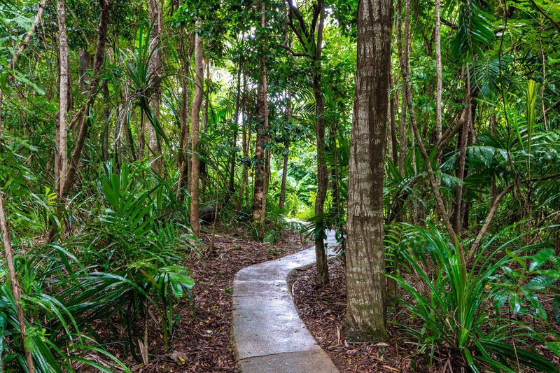 Photo - 72 Holt Road, Garners Beach QLD 4852 - Image 10