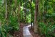 Photo - 72 Holt Road, Garners Beach QLD 4852 - Image 10