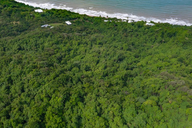 Photo - 72 Holt Road, Garners Beach QLD 4852 - Image 27
