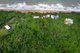 Photo - 72 Holt Road, Garners Beach QLD 4852 - Image 28