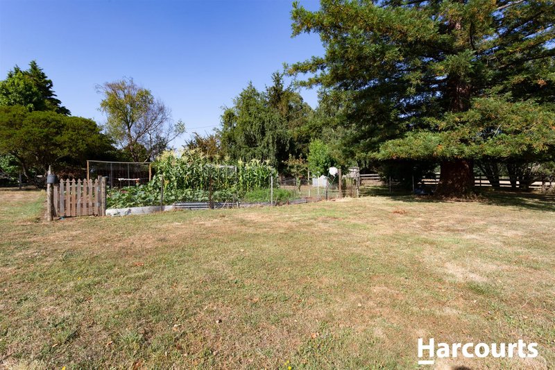 Photo - 72 King Street, Westbury TAS 7303 - Image 16