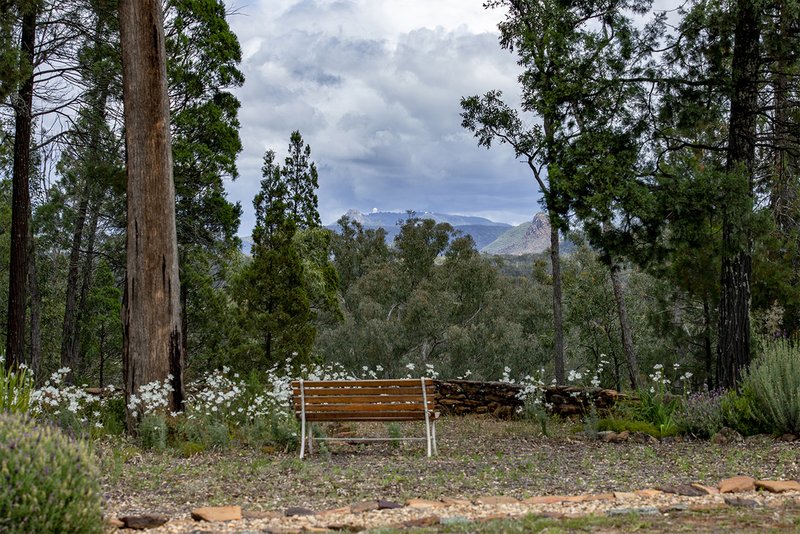 Photo - 72 Shawns Creek Road, Coonabarabran NSW 2357 - Image 13