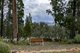 Photo - 72 Shawns Creek Road, Coonabarabran NSW 2357 - Image 13