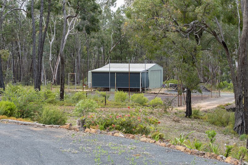 Photo - 72 Shawns Creek Road, Coonabarabran NSW 2357 - Image 18