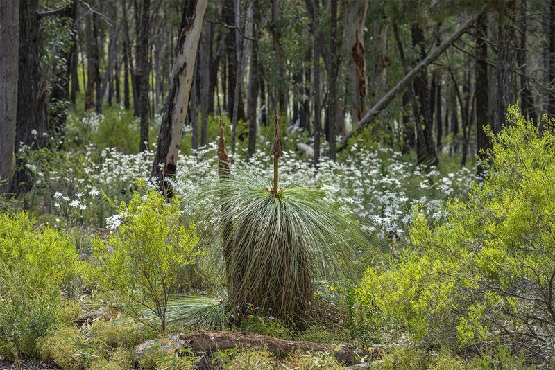 Photo - 72 Shawns Creek Road, Coonabarabran NSW 2357 - Image 20