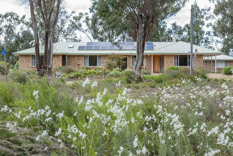 Photo - 72 Shawns Creek Road, Coonabarabran NSW 2357 - Image 23