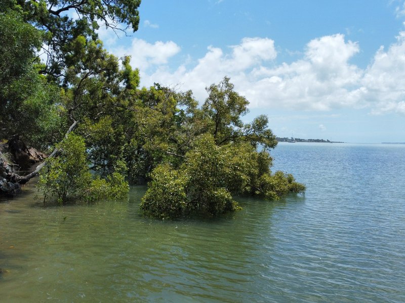 Photo - 72 Timothy Street, Macleay Island QLD 4184 - Image 12