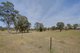 Photo - 720 Jacqua Road, Bungonia NSW 2580 - Image 15