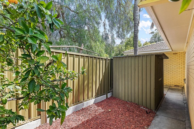 Photo - 7/20 Rochester Street, Leabrook SA 5068 - Image 17