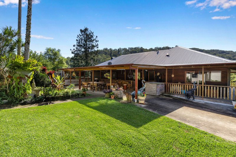 Photo - 721 Dairyville Road, Upper Orara NSW 2450 - Image 6