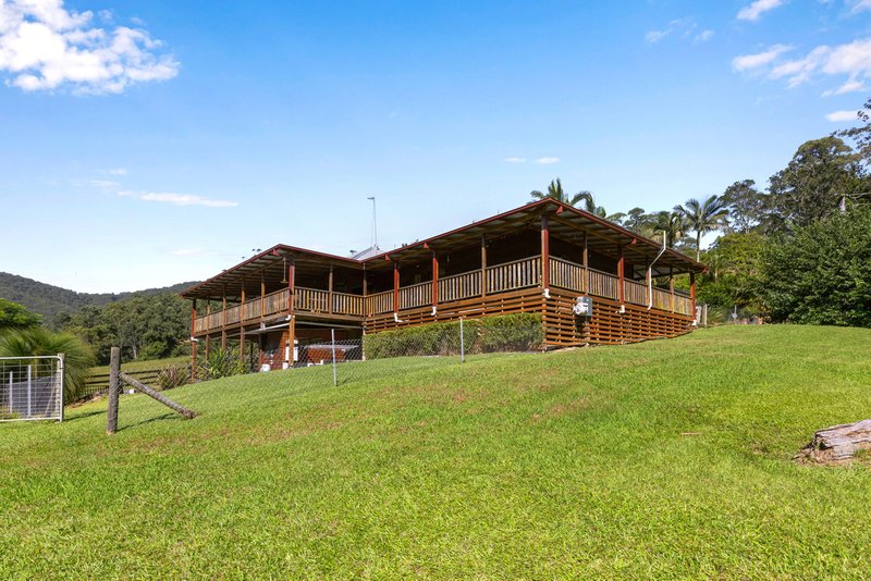 Photo - 721 Dairyville Road, Upper Orara NSW 2450 - Image 8