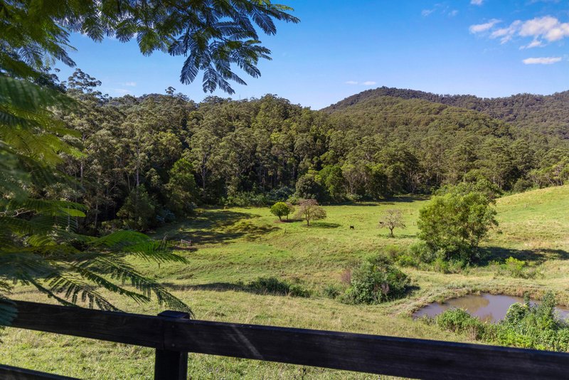 Photo - 721 Dairyville Road, Upper Orara NSW 2450 - Image 12