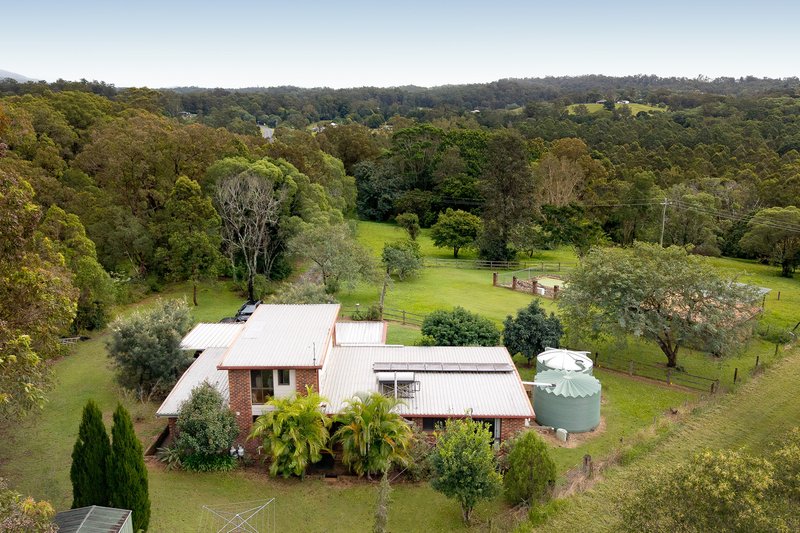 Photo - 721 Mt Samson Road, Samsonvale QLD 4520 - Image 22
