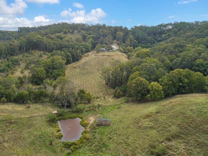 Photo - 7221 Tweed Valley Way, Fernvale NSW 2484 - Image 17